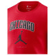 Jordan Ανδρική κοντομάνικη μπλούζα Chicago Bulls Essentials